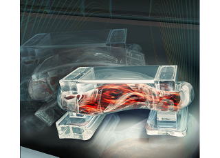Illustration for article titled This 'Bio-Bot' Walks On Command Using Actual Muscles